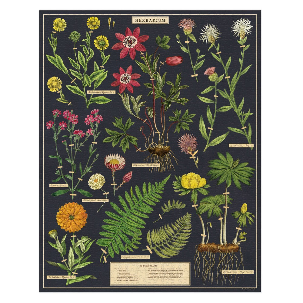 cavallini house plants puzzle Cavallini & Co. Herbarium 1000 Piece Puzzle – Chelsea Market Baskets