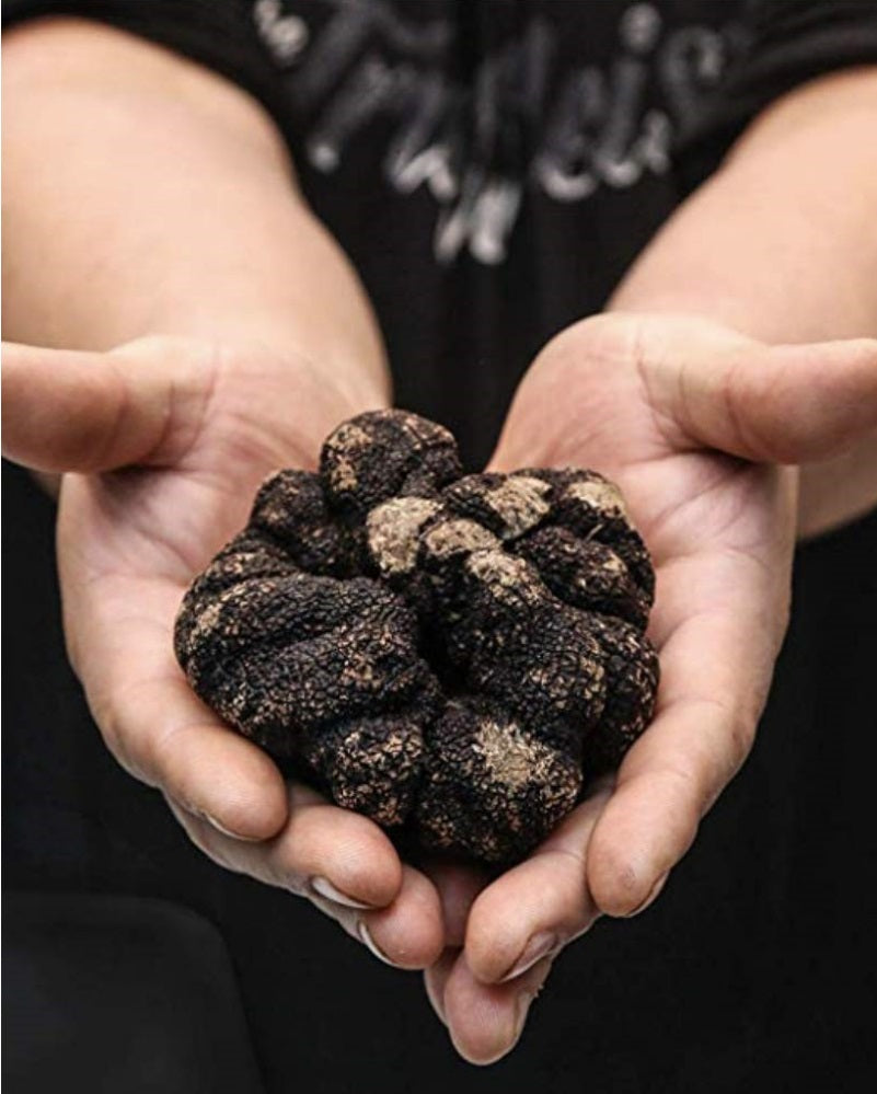Truffleist Truffle Salt 4oz