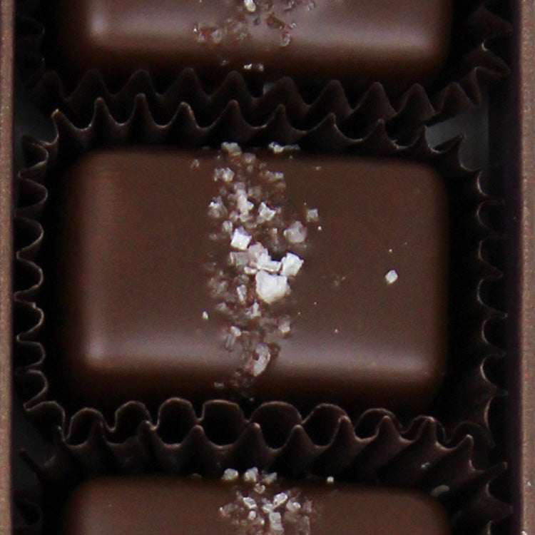 Fran's Gray Salt Caramels (2-pack)