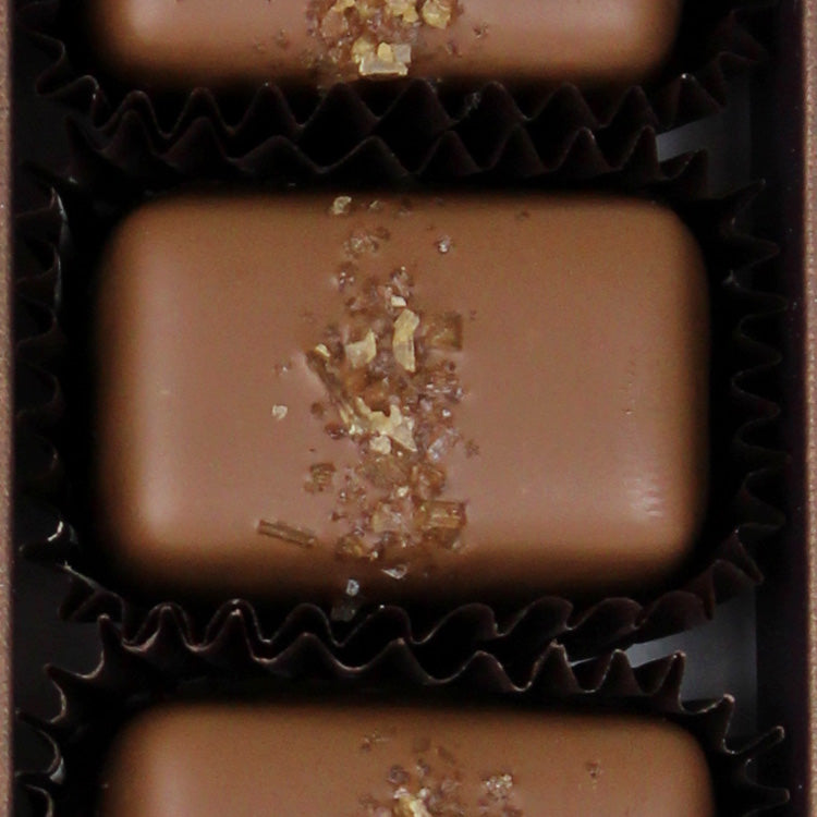 Fran's Smoked Salt Caramels (2-pack)