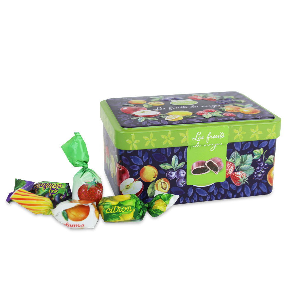Barnier Traditional Mixed Fruit Candies in a Tin 100g