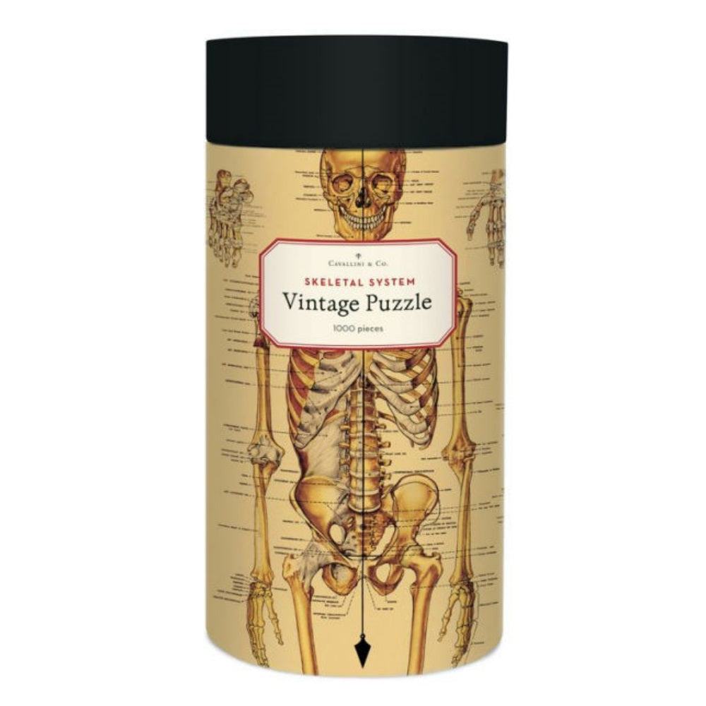 Cavallini & Co. Skeletal System 1000 Piece Puzzle