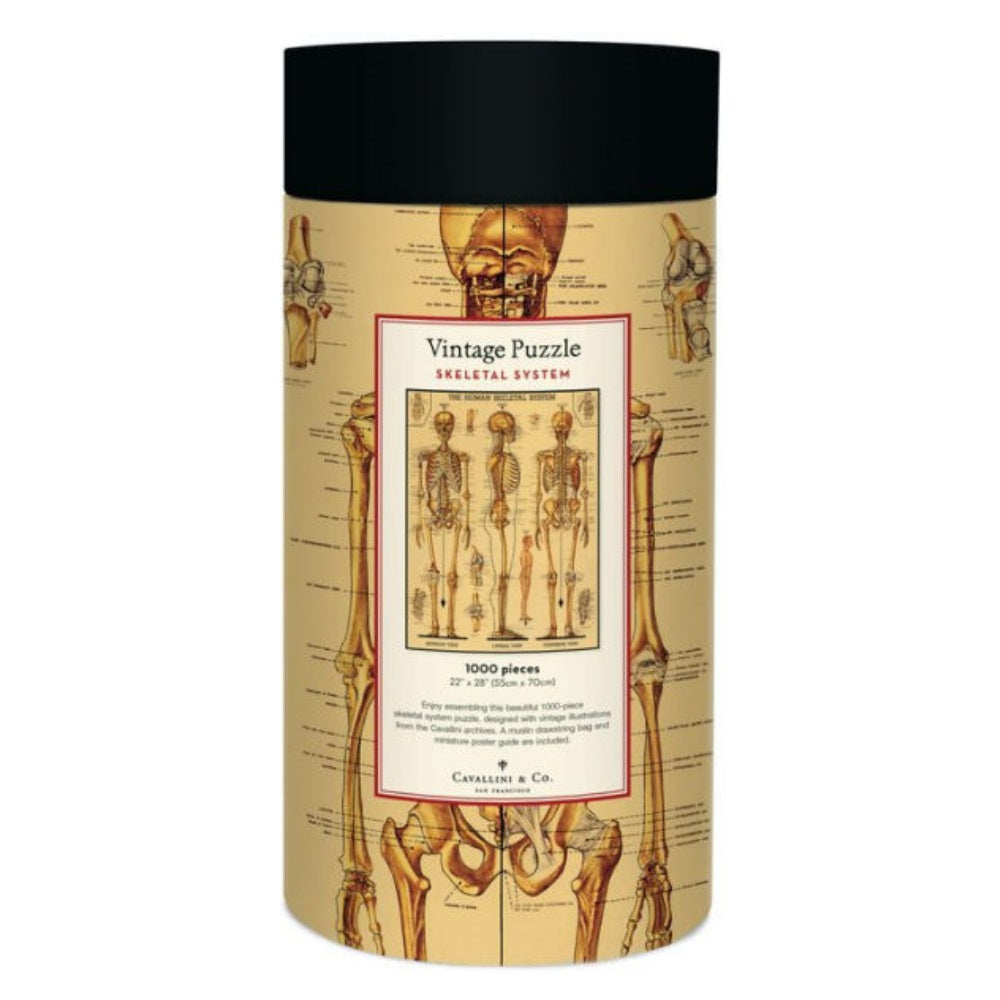 Cavallini & Co. Skeletal System 1000 Piece Puzzle
